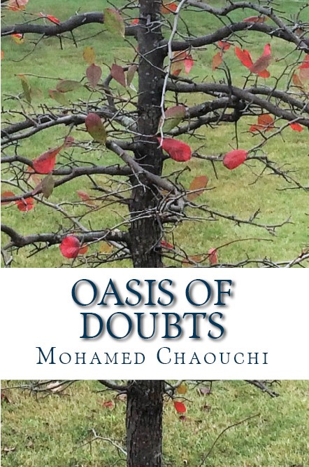 Oasis of Doubts