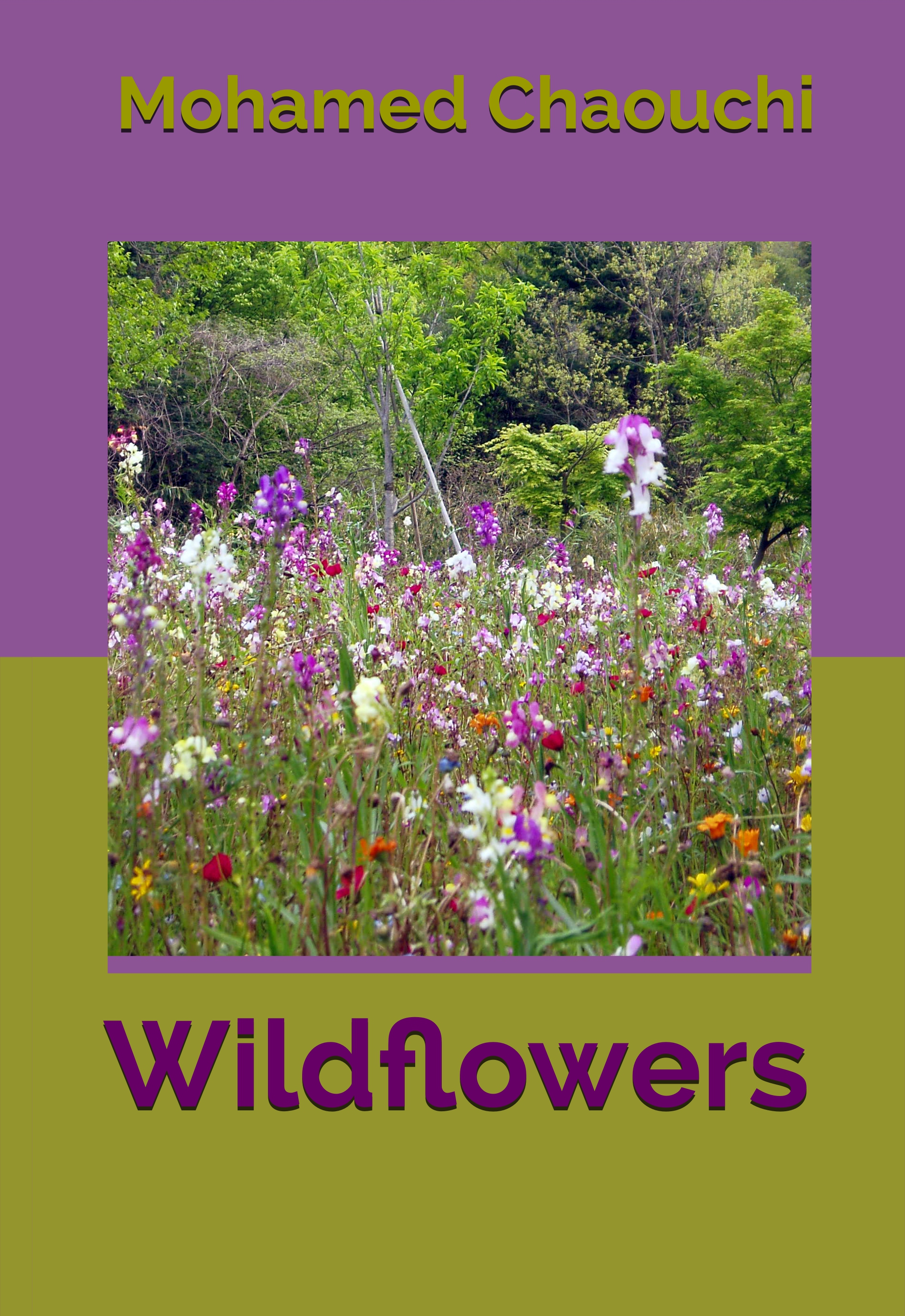 Wildflowers